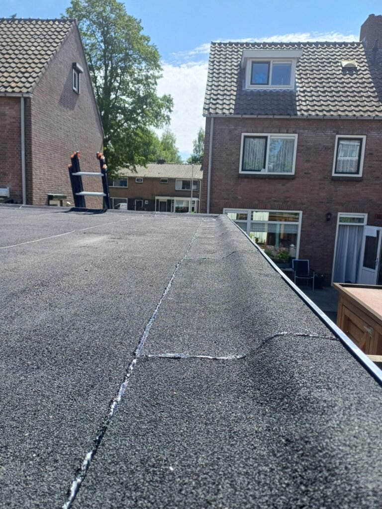 Dakinspectie